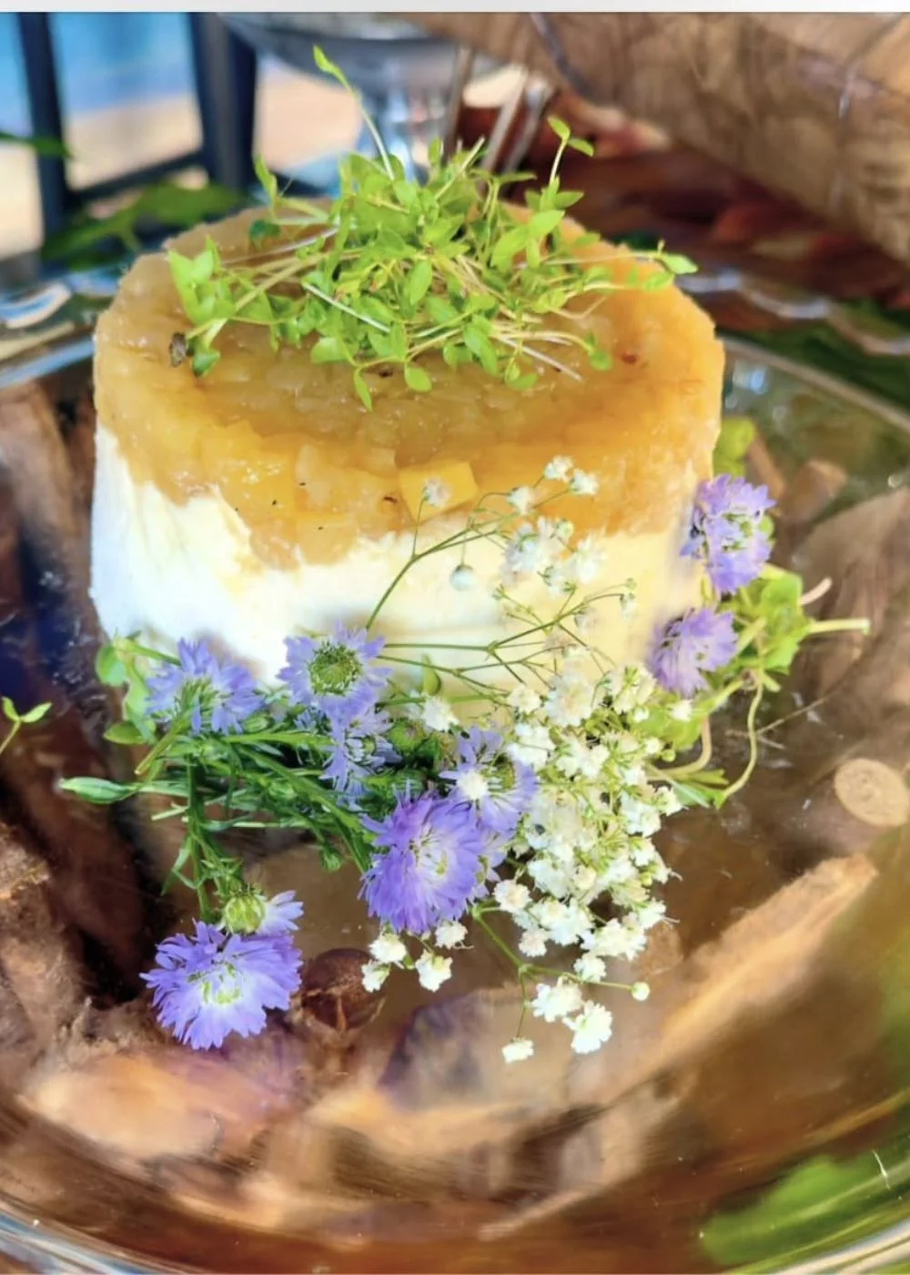 14-alehonorato-natalino